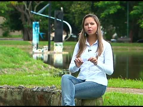 Jornalista Charlyne Sueste