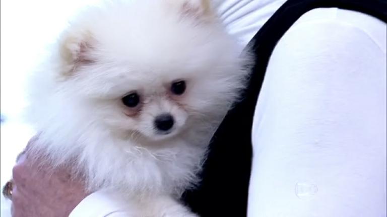 Ana Maria Braga apresenta o seu "Paçoca"... Foto: Reprodução