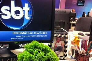 Âncora do “SBT Brasil” distribui alfaces na redação do SBT