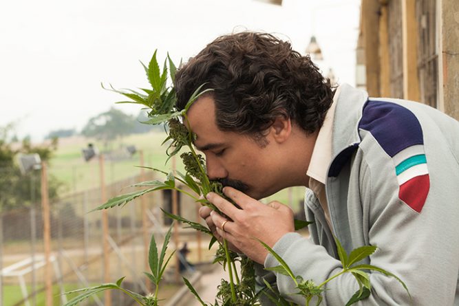 Foto: Daniel Daza/Netflix