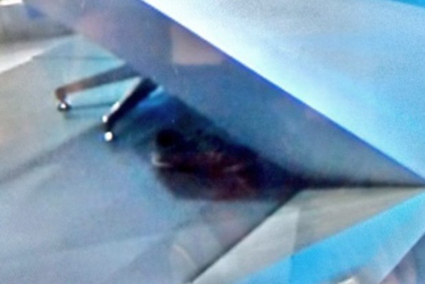 Sapatos do apresentador do SporTV. Foto: Reprodução