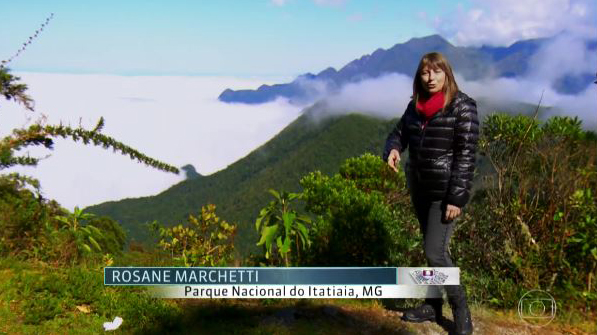 Jornalista é demitida após fazer “Globo Repórter” campeão de audiência