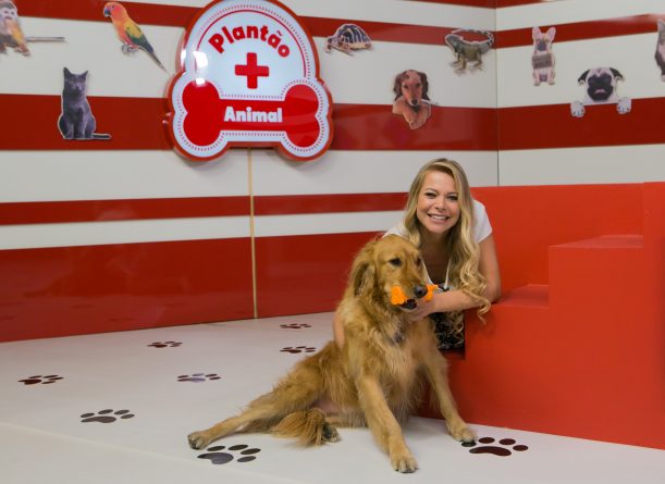 “Plantão Animal”, da RedeTV!, mostra como ajudar animais que vivem nas ruas