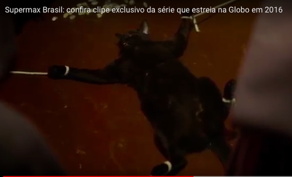 Globo mostra gato sendo torturado em série e recebe ameaça de boicote
