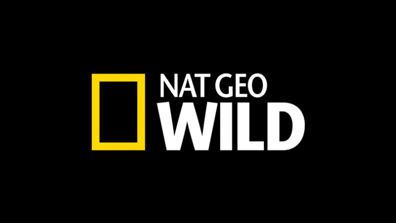 FOX comemora crescimento na distribuição do canal Nat Geo WILD na América Latina