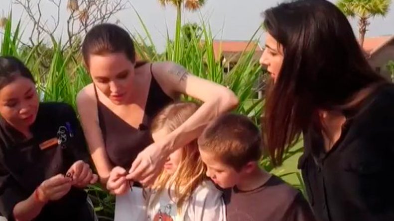 Angelina Jolie cozinha aranha e escorpião para os filhos