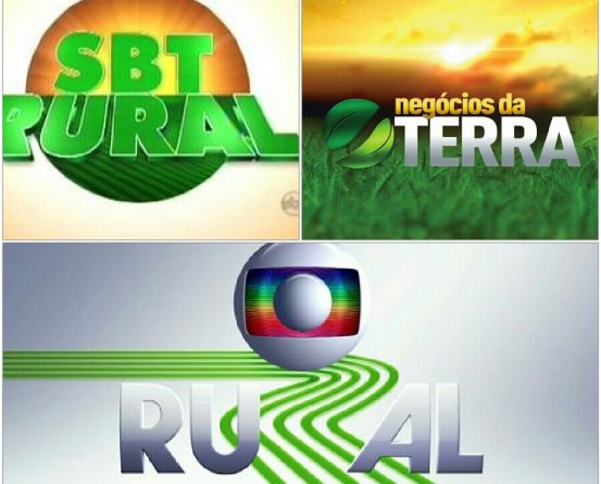 Iniciativa das afiliadas e audiência obtida pelo “Globo Rural” mostram potencial de um novo “SBT Rural”