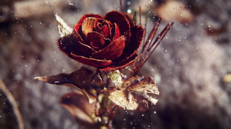 Globo tem nove trabalhos selecionados para a 12ª edição da Bienal Brasileira de Design Gráfico