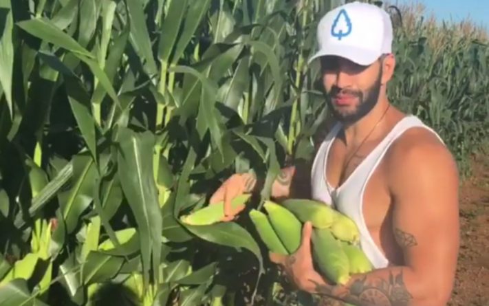 Gusttavo Lima é flagrado ‘roubando’ milho em rodovia de Goiás