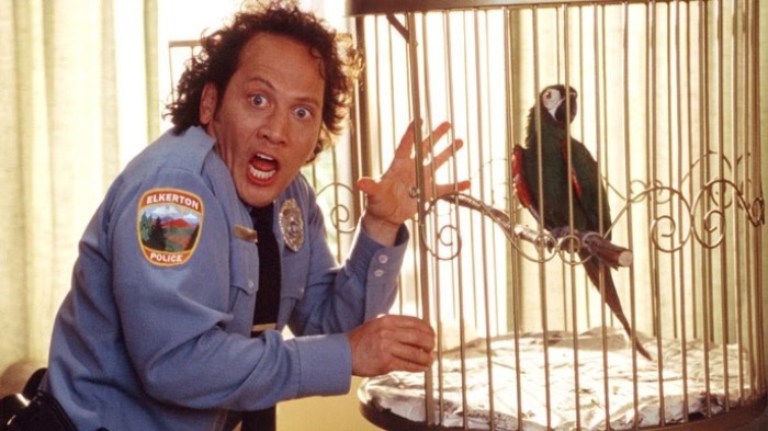 Audiência – Cine Espetacular: Animal – (06/02)