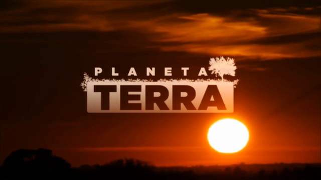 TV Cultura estreia série sobre filhotes de animais selvagens no “Planeta Terra”