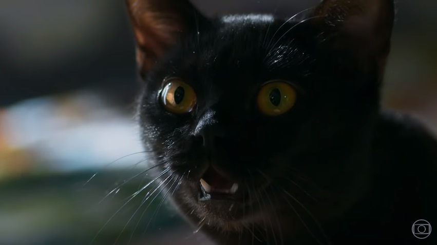 Globo divulga primeiras imagens da novela “O Sétimo Guardião”