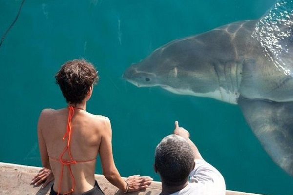 SBT anuncia exibição do filme inédito “Maré Negra”