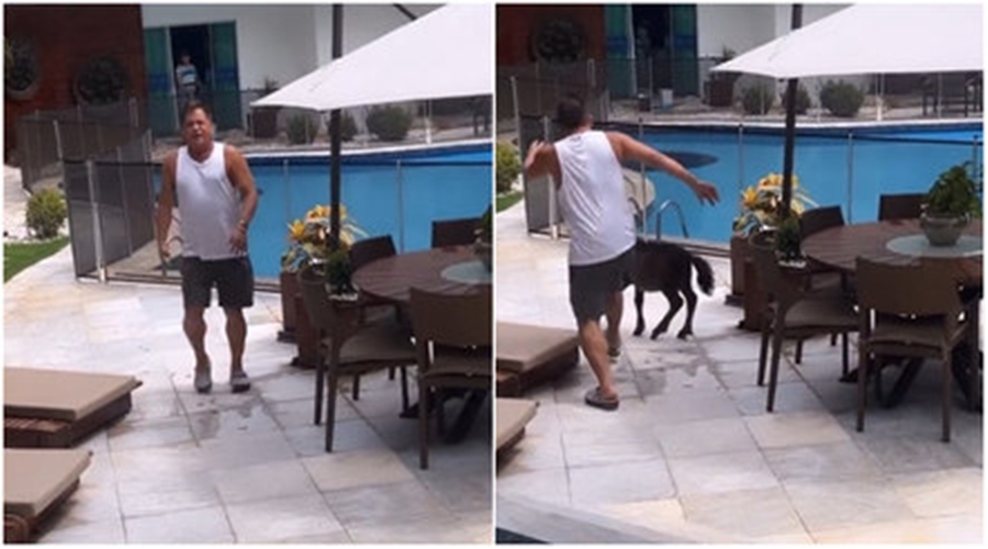 Leonardo é detonado na internet após chutar pônei: “Ruindade”