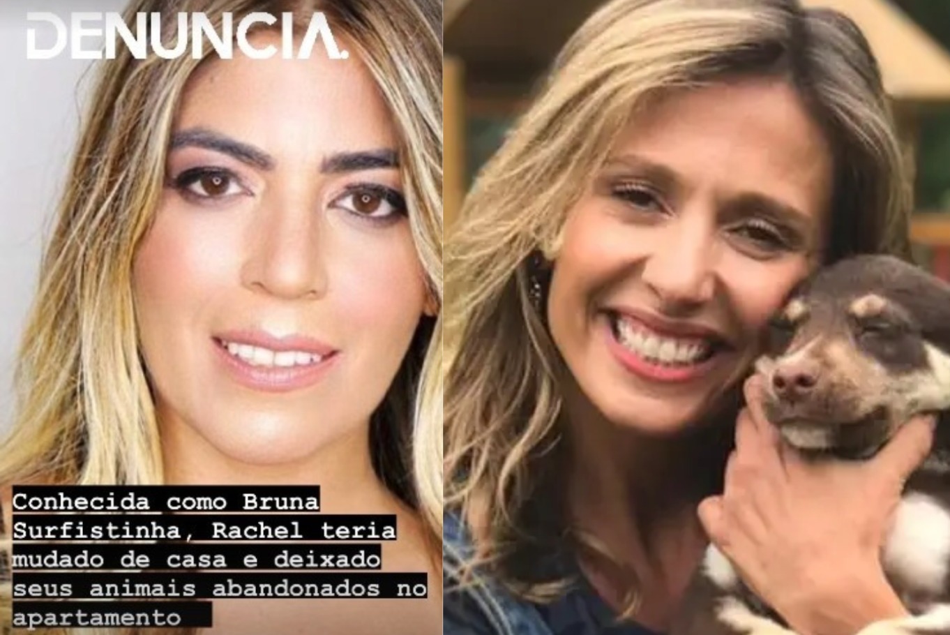 Luisa Mell solta o verbo, acusa Bruna Surfistinha  e expõe abandono de animais