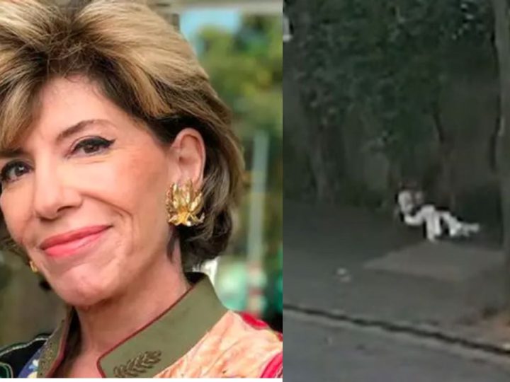 Vídeo mostra Silvia Poppovic sendo agredida por ladrão