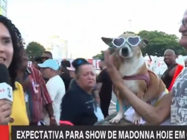 Repórter da Globo é atacada por cachorro, ao vivo 