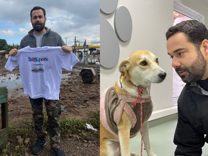 SOS Pets: Plataforma é criada pra auxiliar tutores a reencontrar seus animais de estimação no RS