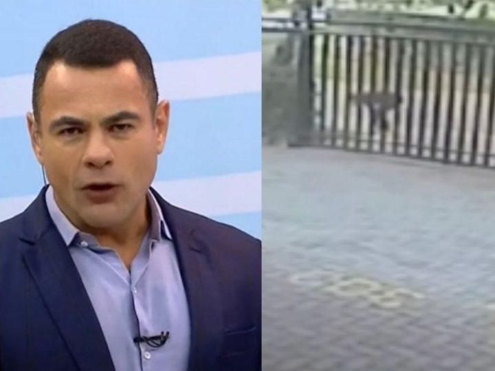 Indignado, apresentador do “Balanço Geral” dá notícia ao vivo sobre crime contra irmã