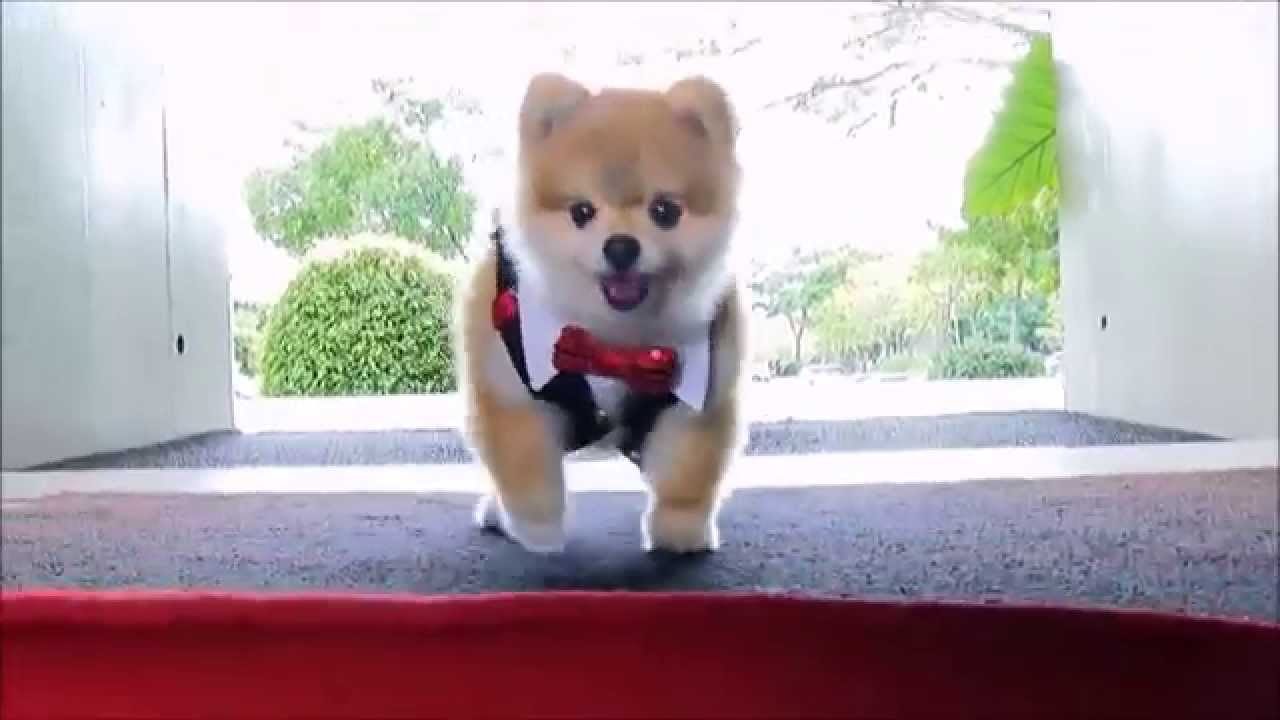 “Paçoca” ganha salário na RedeTV! Descubra quanto!