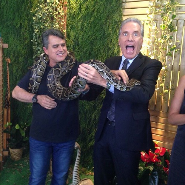 Roberto Justus interage com animais no clima de “A Fazenda”