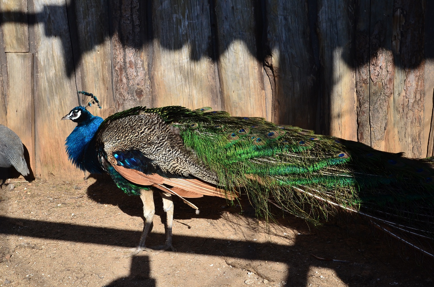 ????????????????????????????????????