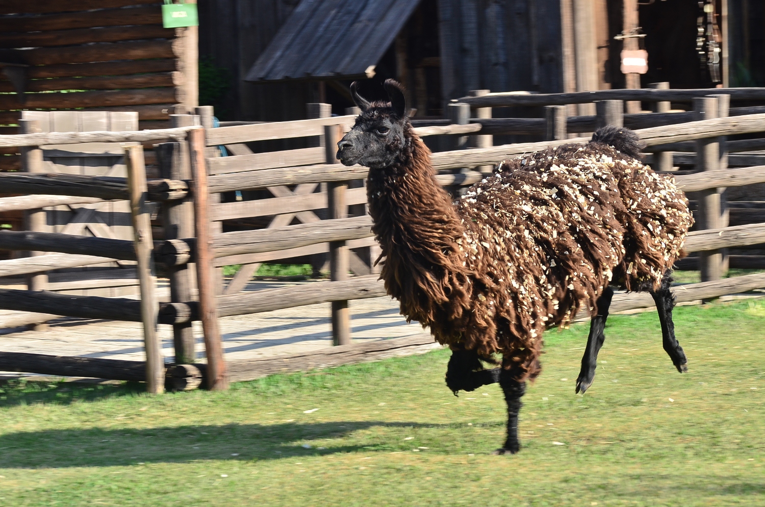 ????????????????????????????????????