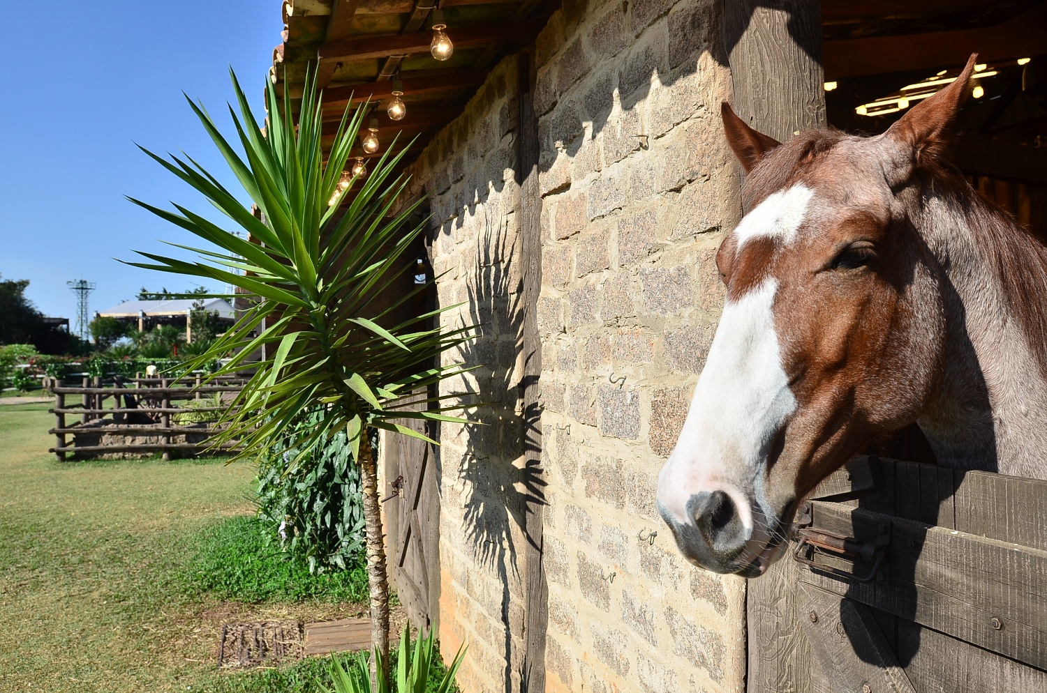 ????????????????????????????????????