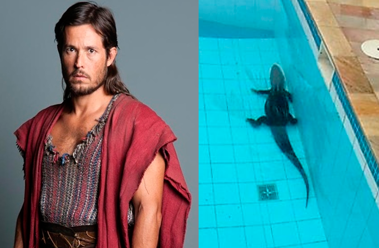 Ator da Record encontra jacaré na piscina do prédio onde mora