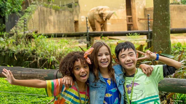 Discovery Networks Brasil aumenta produção local em 2017