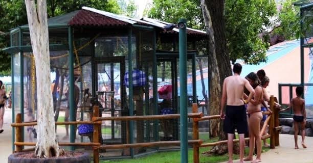 “TV Thermas dos Laranjais” mostra o projeto Educação no Parque, nesta terça-feira (28), pelo SBT Interior