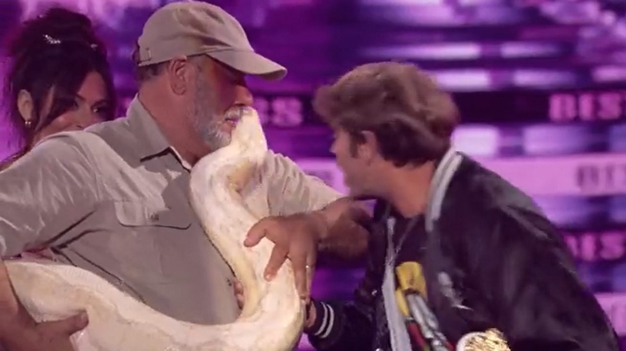 Em prêmiação de TV, ator beija cobra gigante no palco e deixa todo mundo “paralisado”