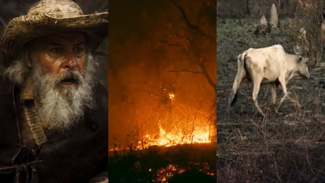 Cenas reais na novela “Pantanal” impressionam telespectadores; assista