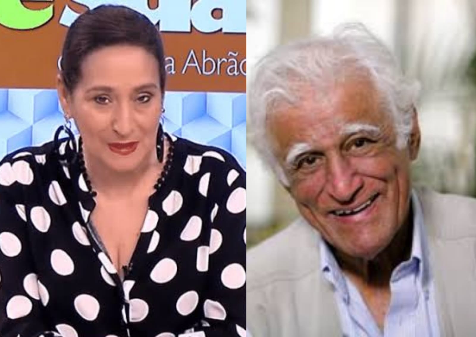 Durante homenagem a Jô Soares, Sonia Abrão “mata” Ziraldo e internautas reagem: “Coveira”