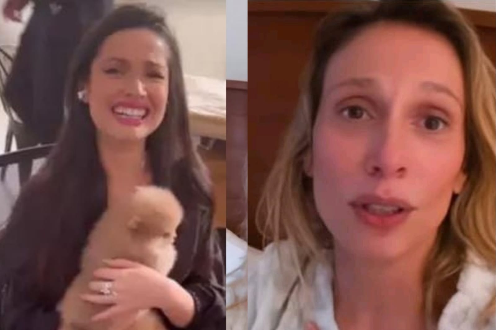 Juliette se desculpa após ser criticada por Luisa Mell: “Estava com vergonha”