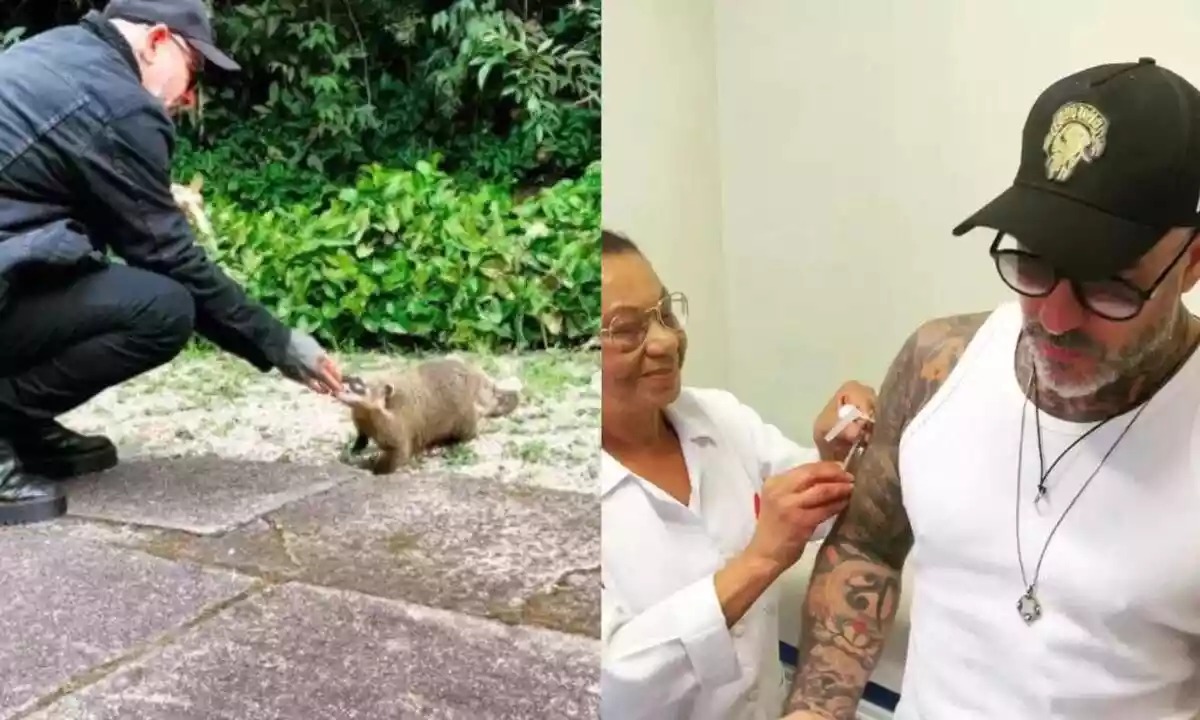 Henrique Fogaça é mordido por quati e vai parar no hospital