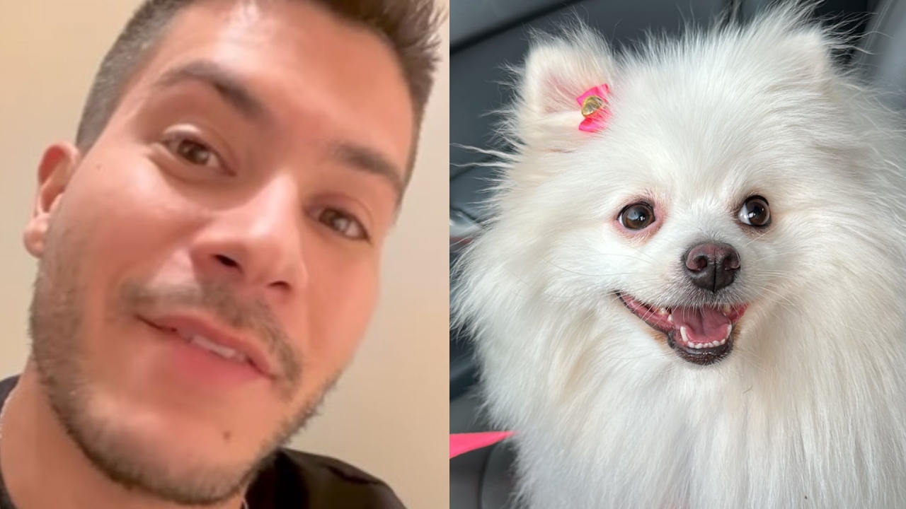 Arthur Aguiar apresenta sua cachorrinha chamada Jade e causa polêmica