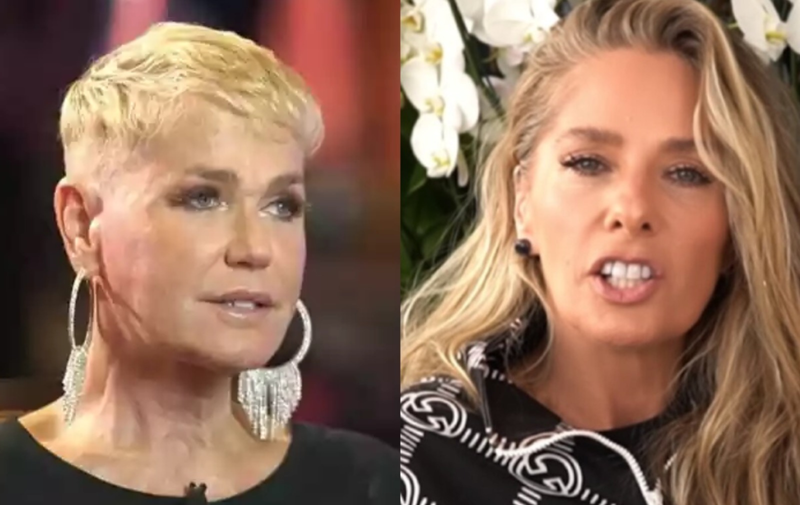 Adriane Galisteu se pronuncia após Xuxa mencioná-la: “Achei feio”