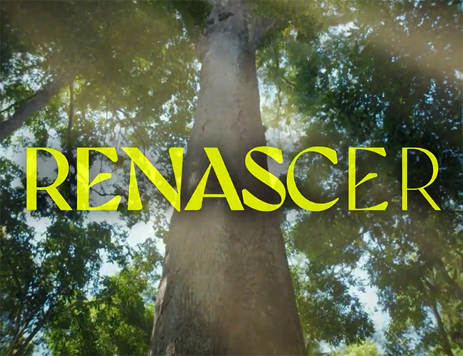 Saiba quem é a personagem mais pesquisada da novela “Renascer”