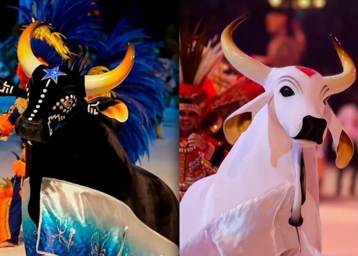 Boi Caprichoso e Boi Garantido se apresentam no “Caldeirão com Mion”