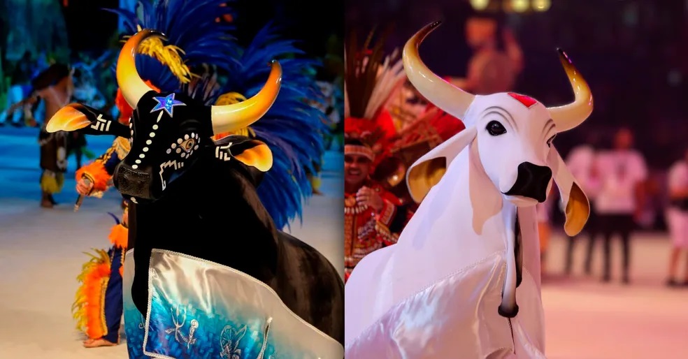 Boi Caprichoso e Boi Garantido se apresentam no “Caldeirão com Mion”