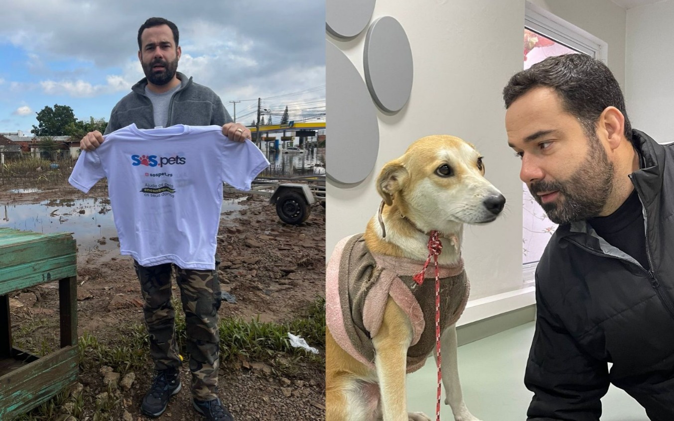SOS Pets: Plataforma é criada pra auxiliar tutores a reencontrar seus animais de estimação no RS