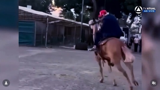 Donald Trump dá primeira entrevista na TV após cair do cavalo