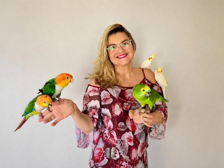 KRIANDOKALO: diversão e dicas para cuidar do seu papagaio e calopsita