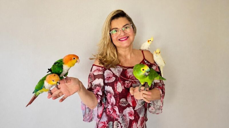 KRIANDOKALO: diversão e dicas para cuidar do seu papagaio e calopsita