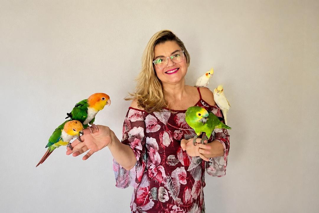KRIANDOKALO: diversão e dicas para cuidar do seu papagaio e calopsita