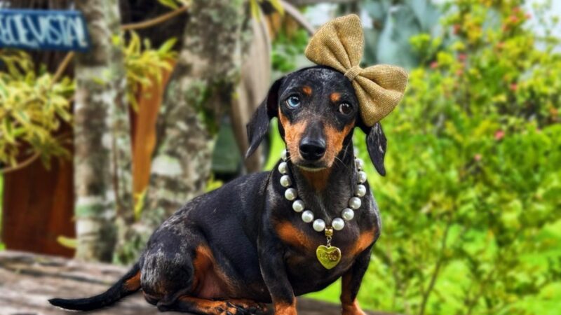 Drama, Amor e Areia: A Saga de Keisha